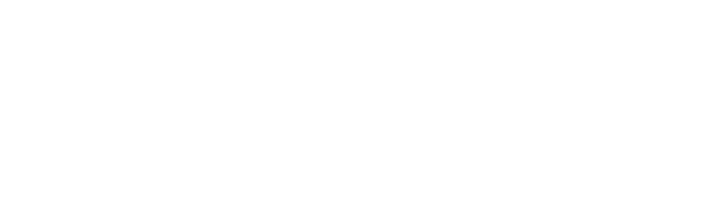 Visioix
